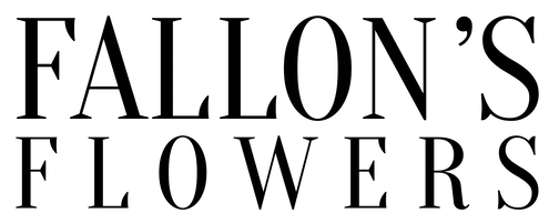 fallon's logo rect